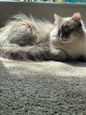 Meet your Posher, Katherine